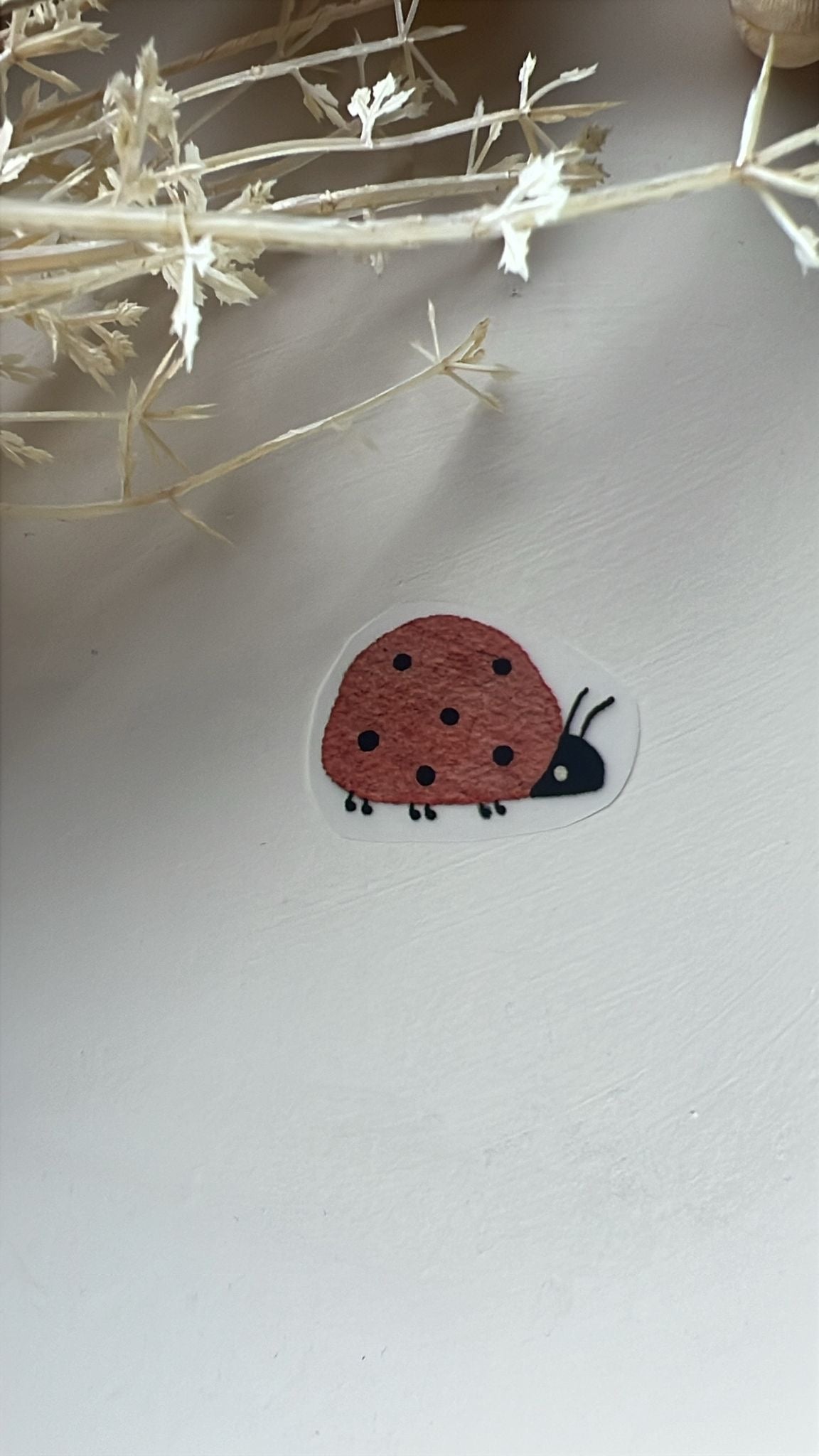 Bügelbild Marienkäfer 100-0044 4cm breit 5-1.2