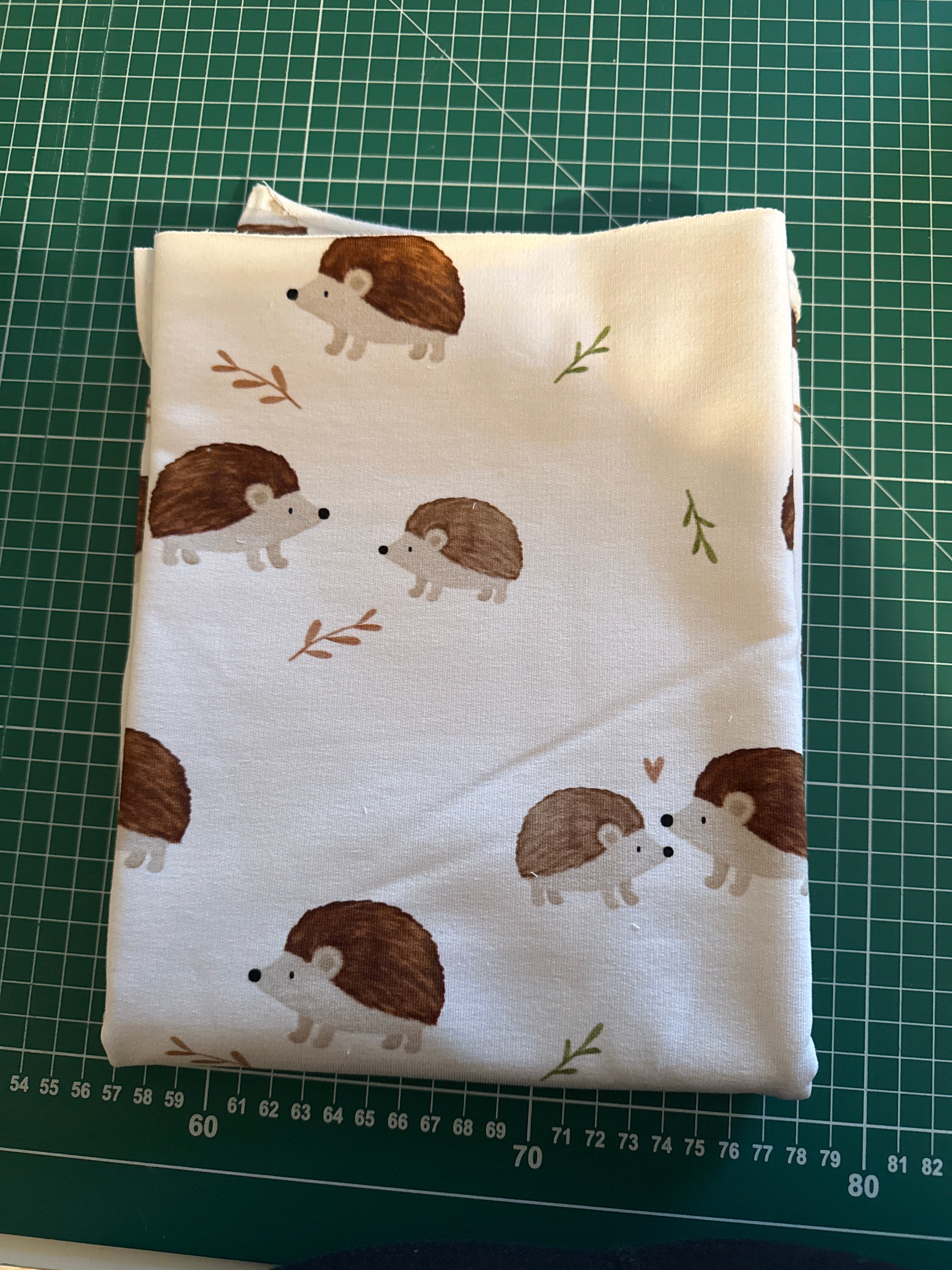 Rest 0,5m Igel French Terry