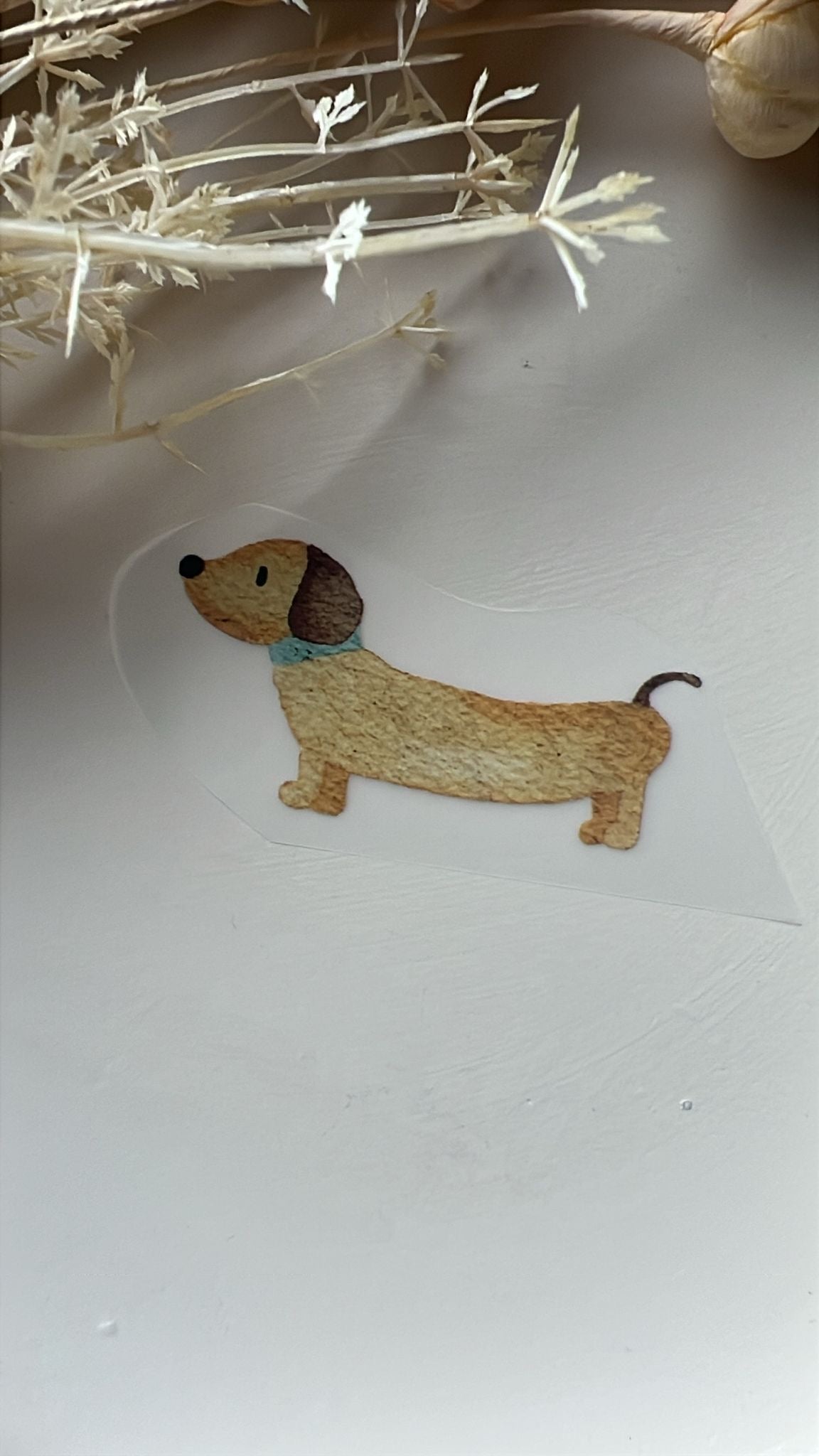 Bügelbild Dackel Halsband mint KF 100-0052 8,5cm breit 11-1.1