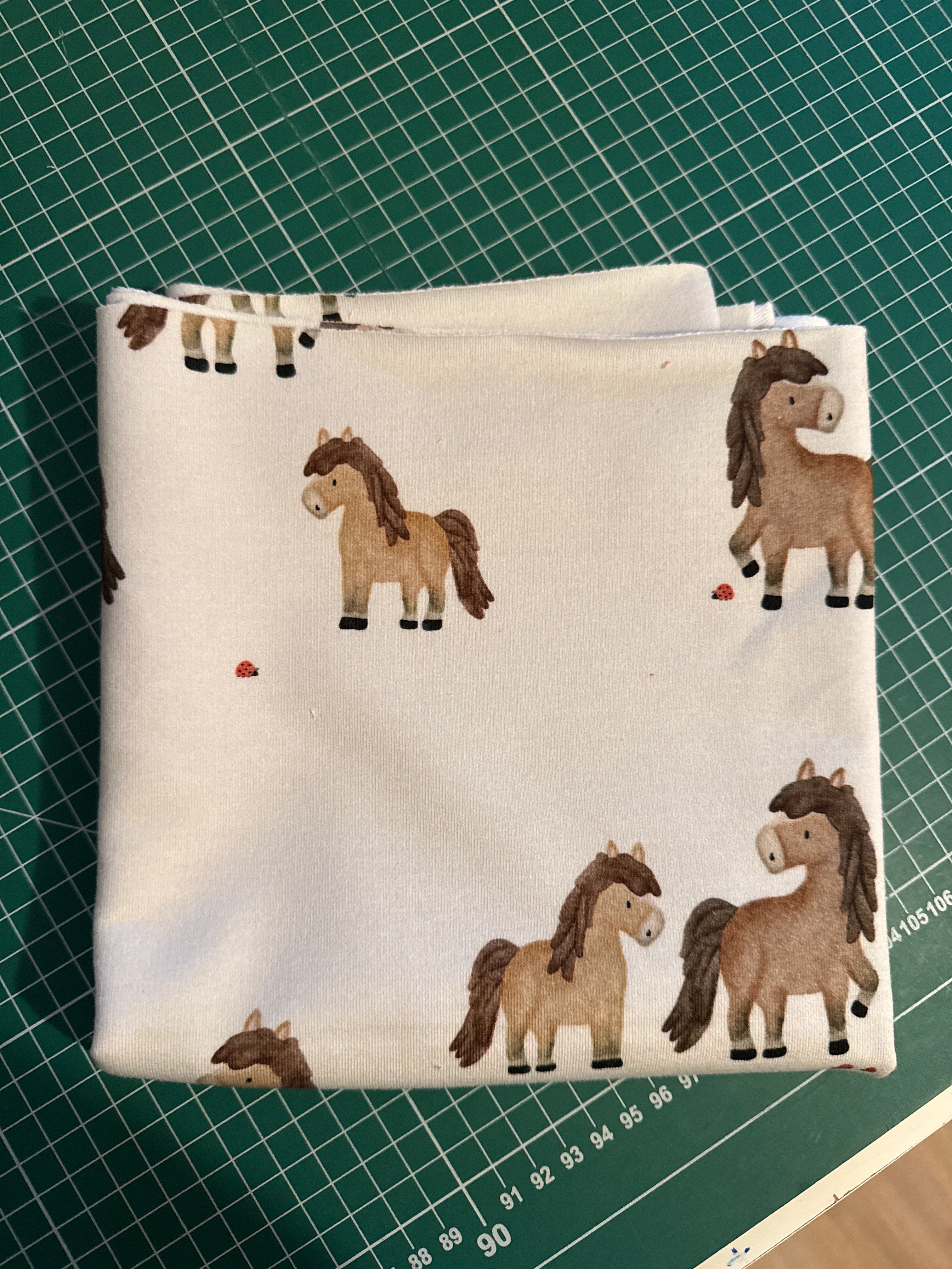 Rest 0,4 Ponyhof French Terry