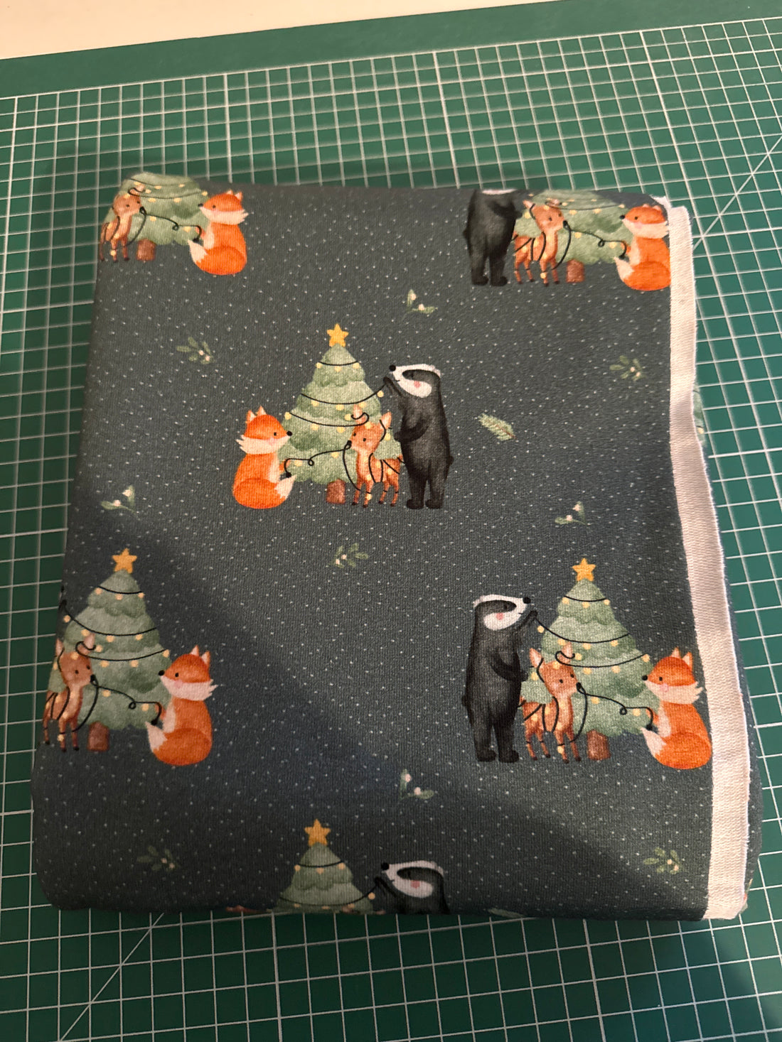 Rest 0,95m Weihnachtsabend French Terry