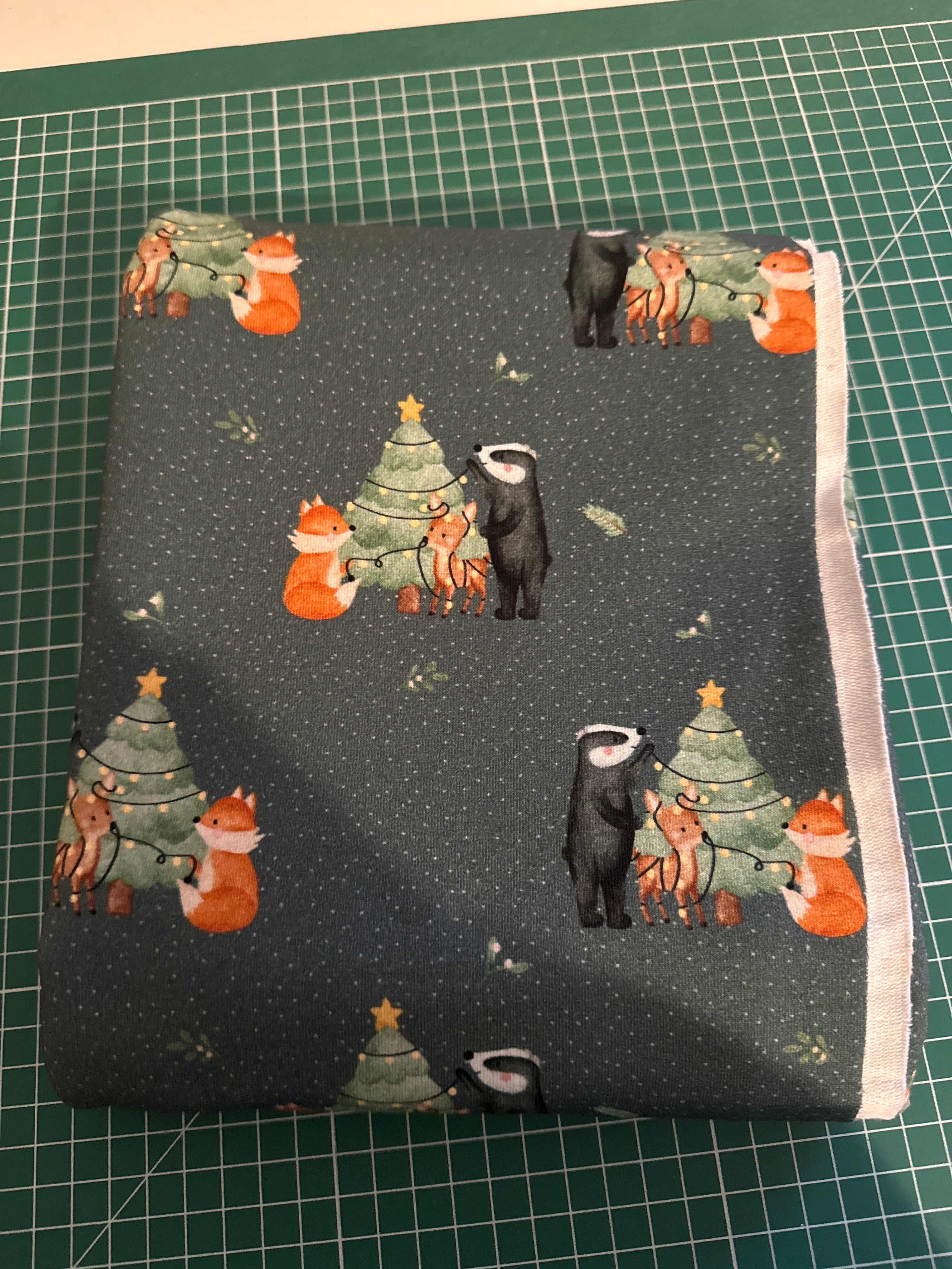 Rest 0,95m Weihnachtsabend French Terry