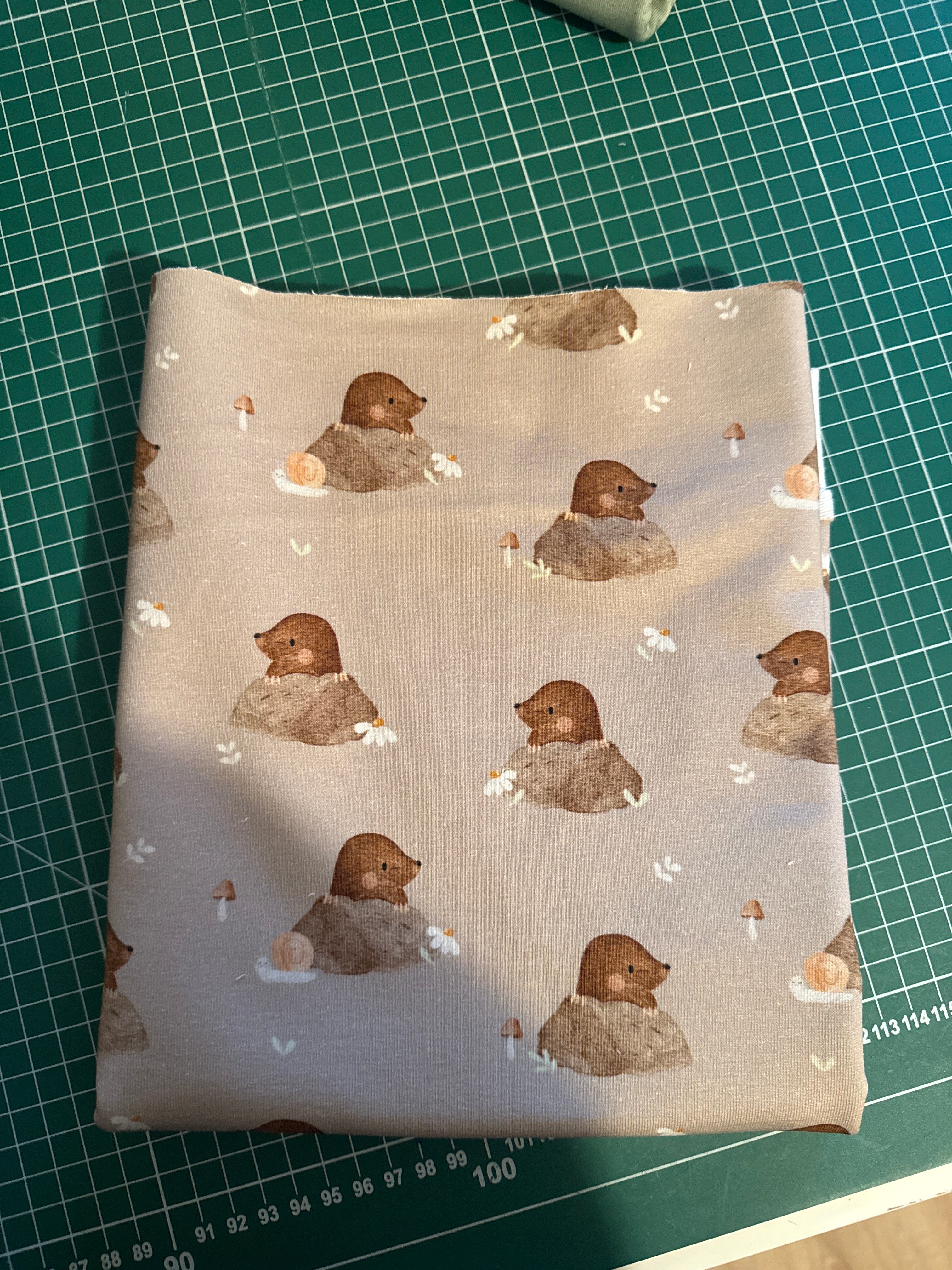 Rest 0,45 Maulwurf French Terry