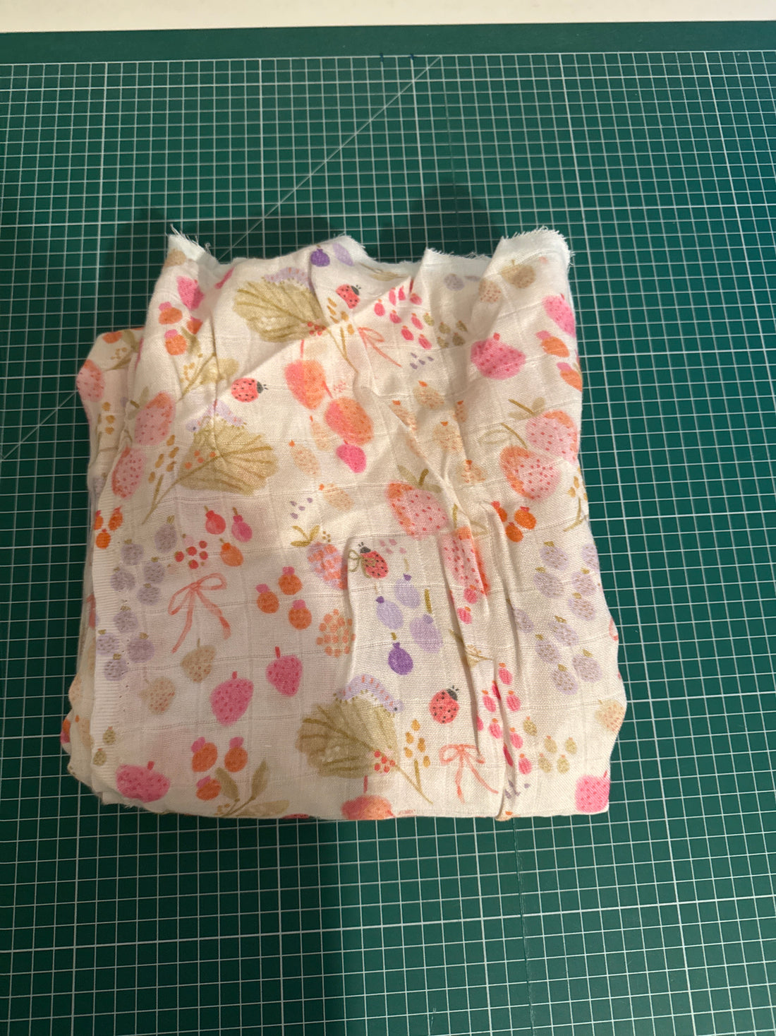 Rest 0,9 Erdbeeren Musselin