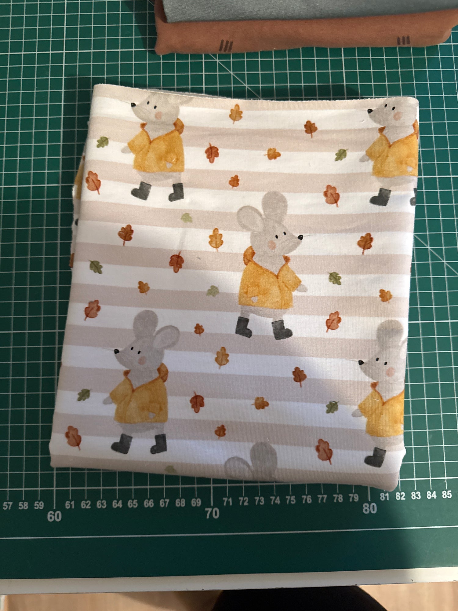 Rest 0,4 Herbstmaus French Terry