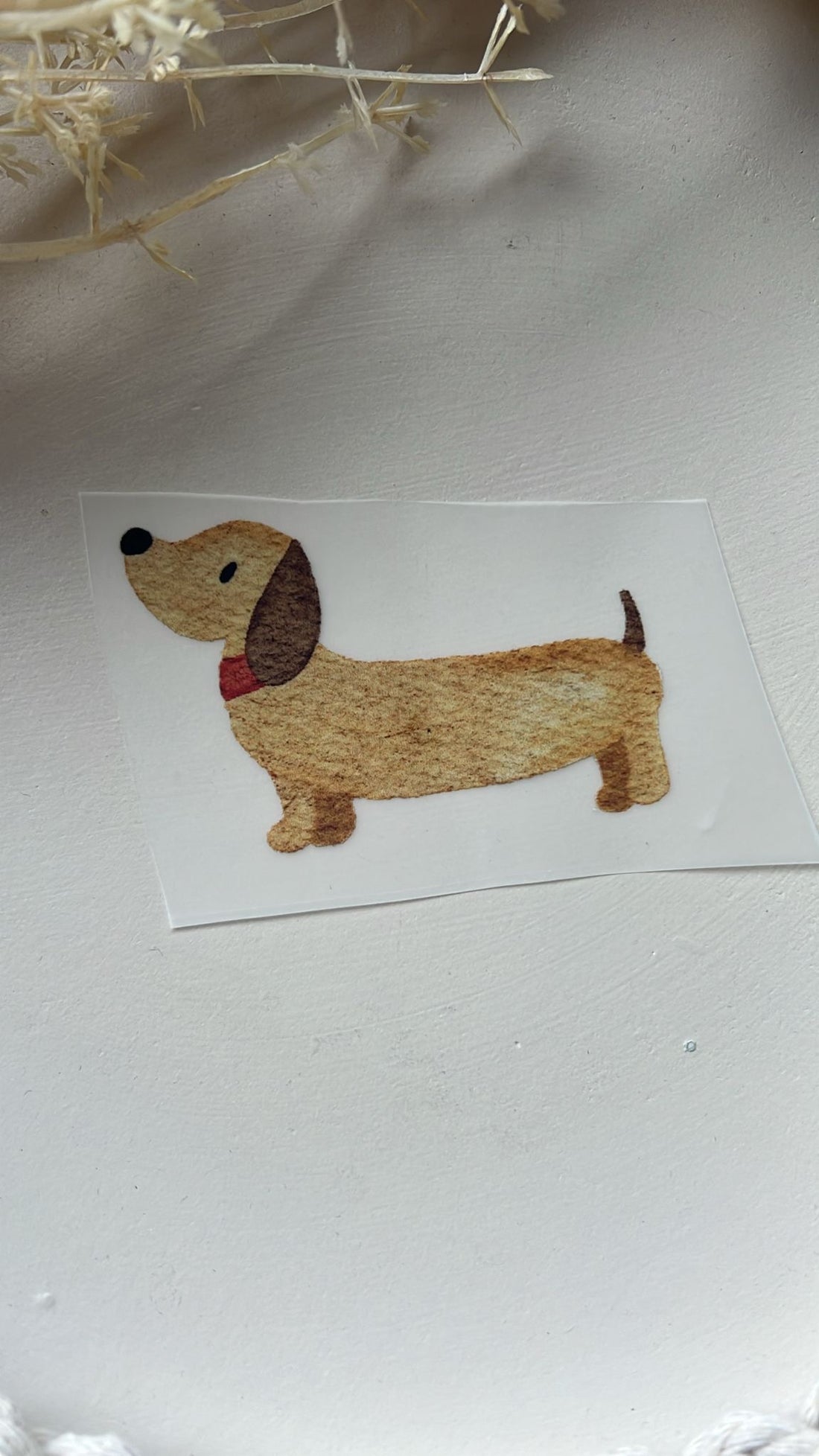 Bügelbild Dackel Halsband rot KF 100-0053 7cm breit 10-3.2