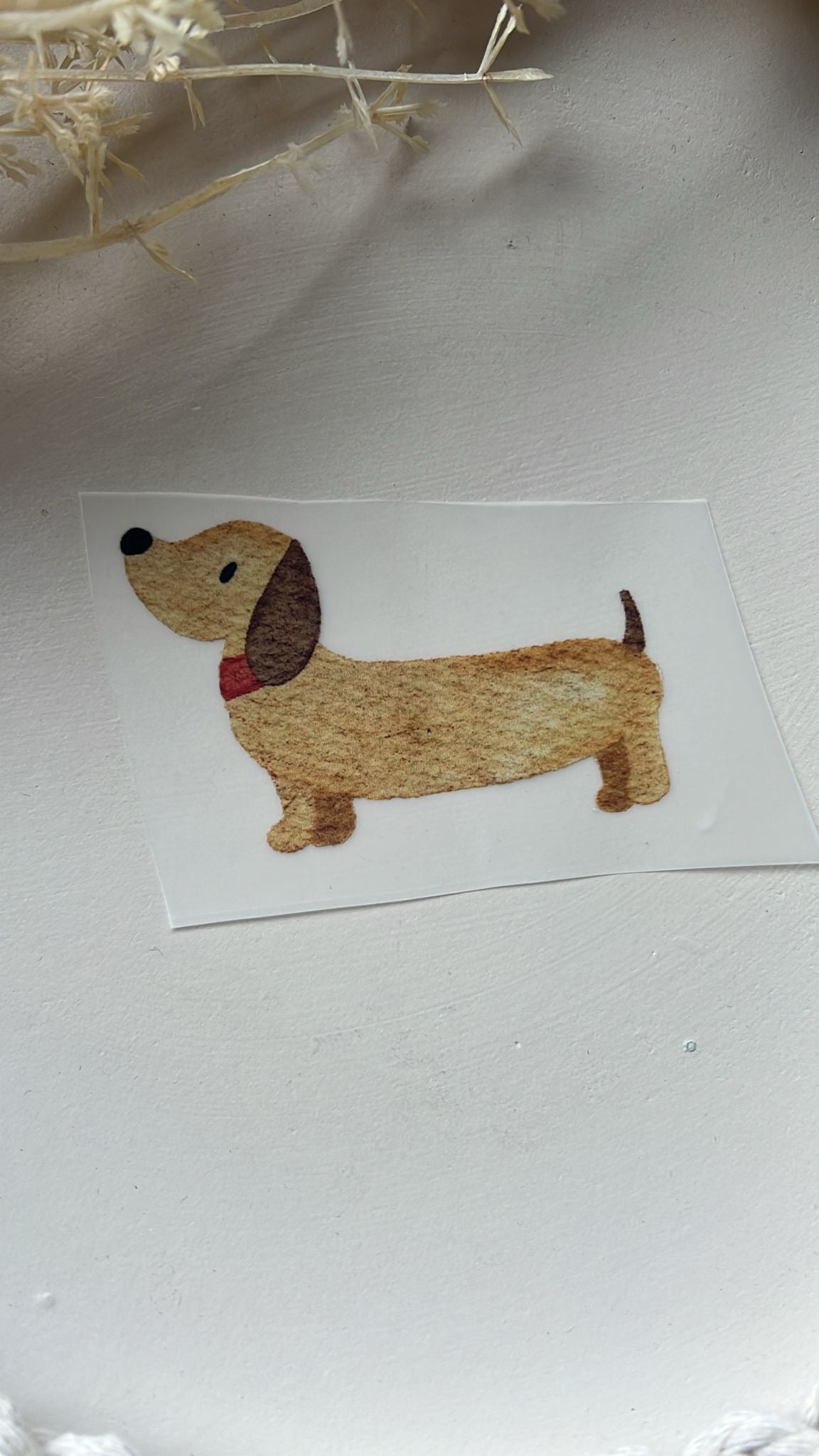 Bügelbild Dackel Halsband rot KF 100-0053 7cm breit 10-3.2