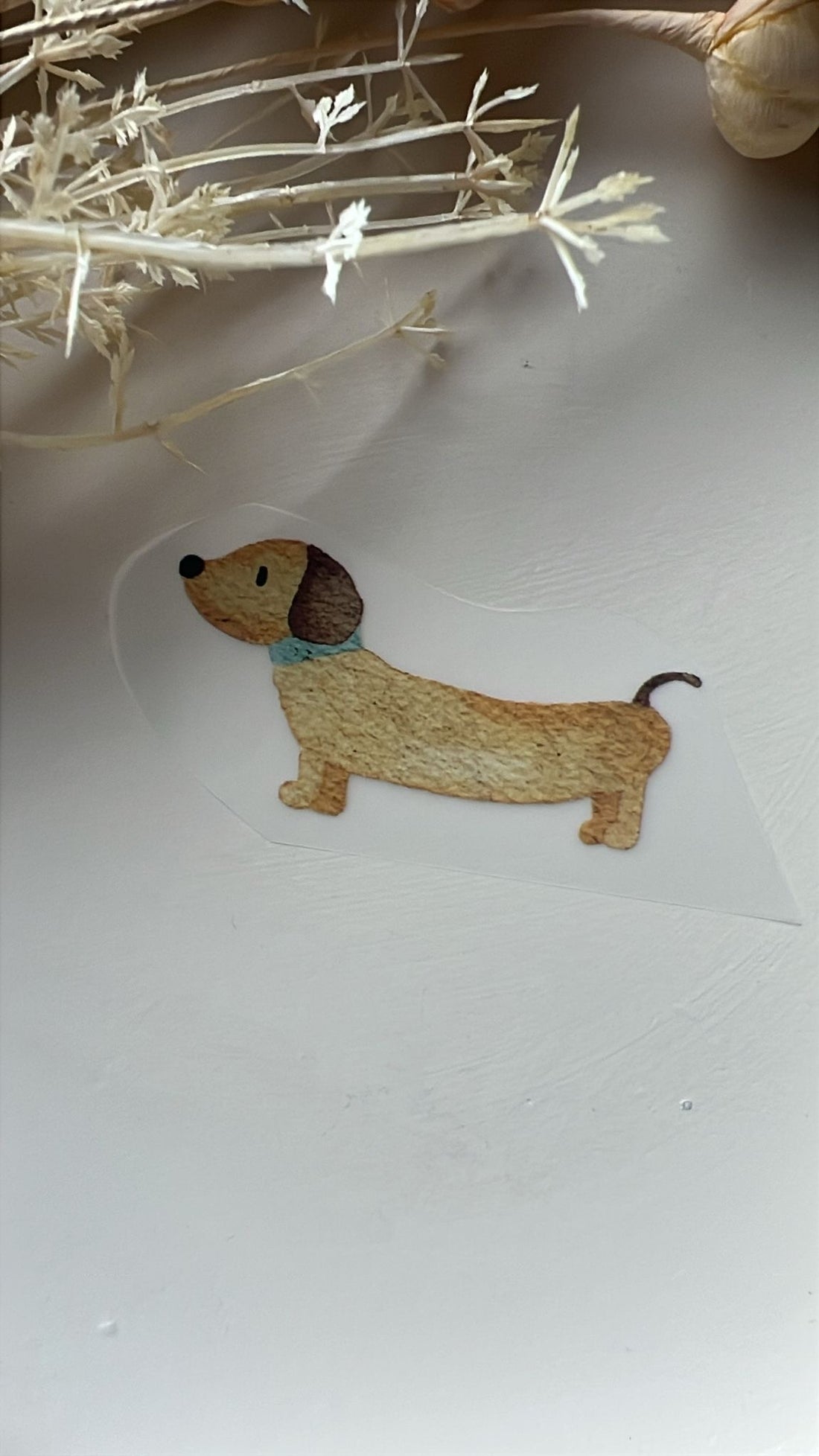 Bügelbild Dackel Halsband mint KF 100-0052 8,5cm breit 11-1.1