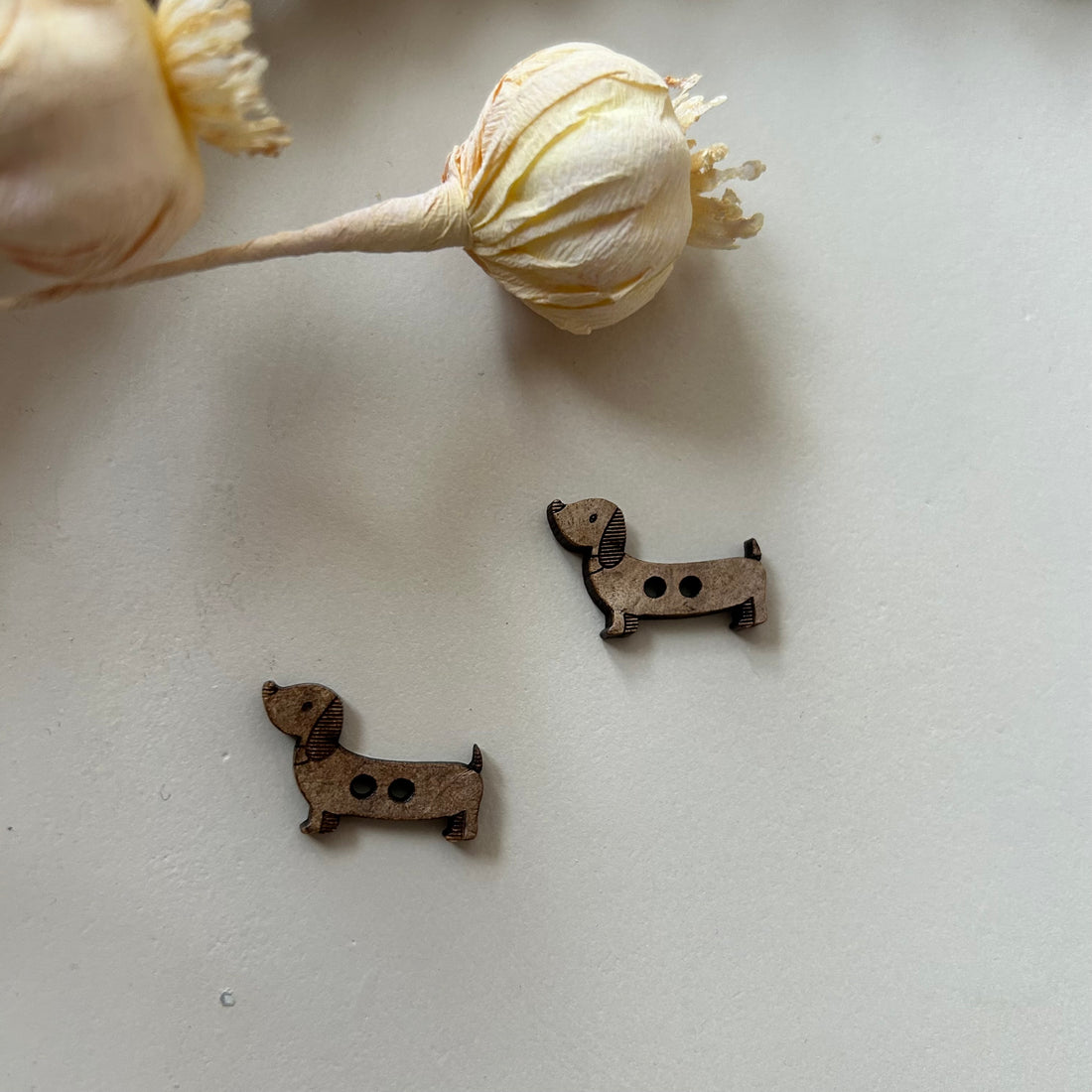 Kokosknopf shaped Herr Dackel Advent 24 KF 2000-103 15-6.1-6.3