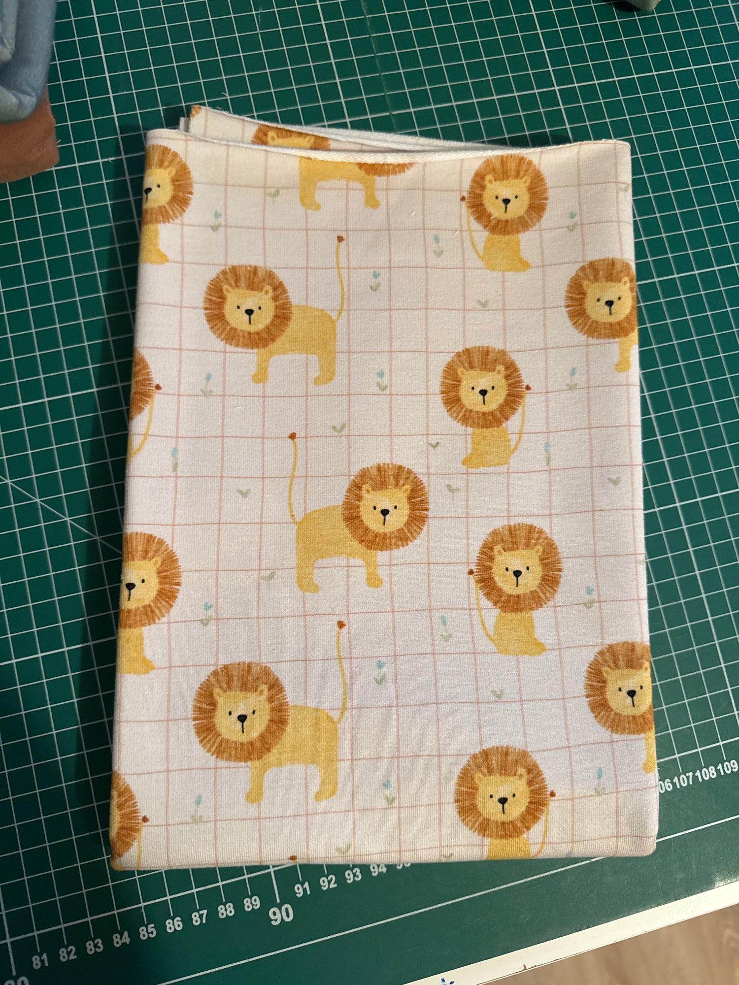 Rest 0,55 Löwe French Terry